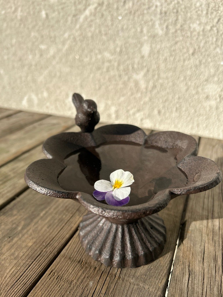 Vattenbad med fågel