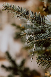 Dekorationshänge 'Polkagris'