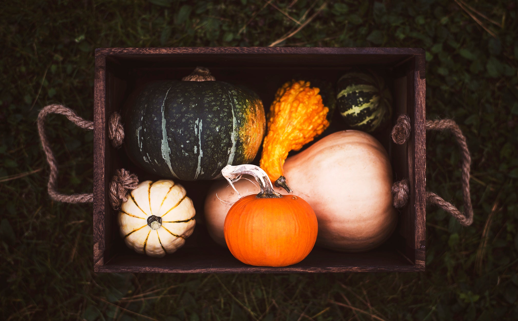 fall-vegetable-box.jpg