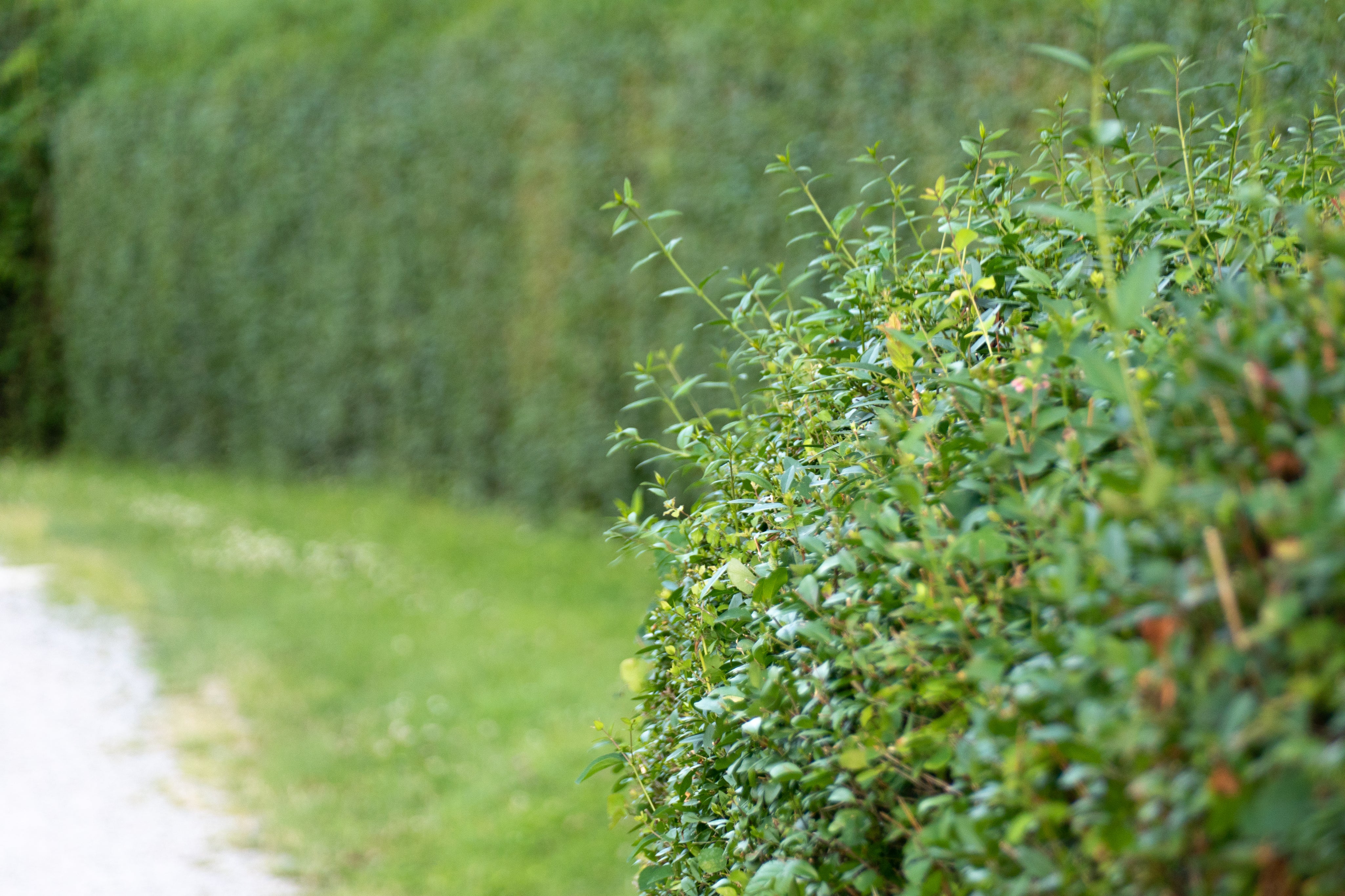 iStock-1046252770-2_cab21376-76cb-41dc-9fcc-c6667353357b.jpg